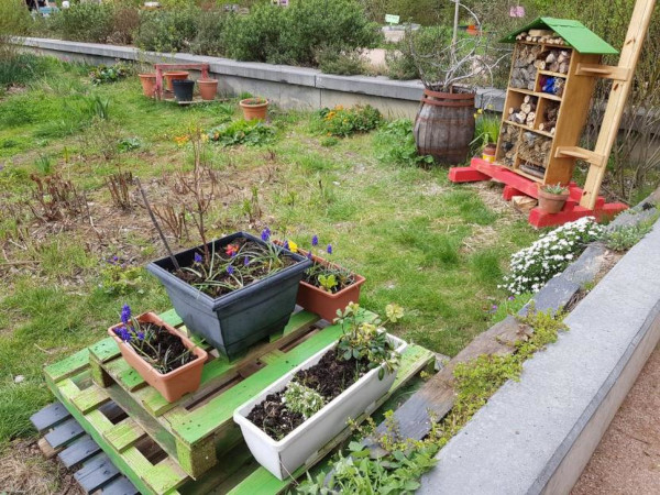 Jardin partagé de Ver Têtu à Paris 19e © LPO Ile-de-France